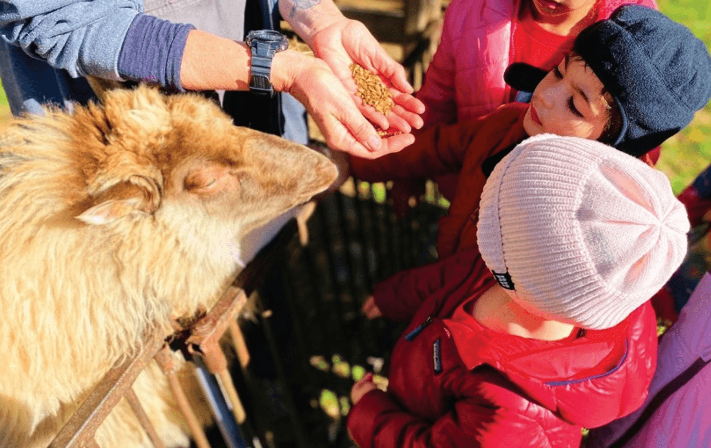 Montessori Academy of London