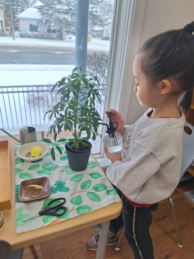 Casa student sprays water on a plant,