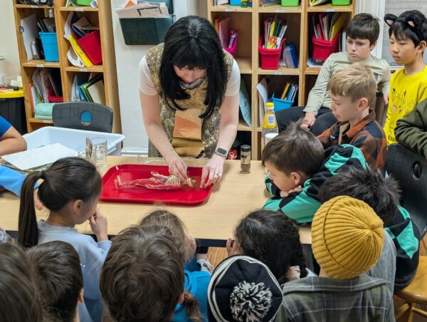 A teacher in a black wig dressed as Cleopatra demonstrates on a doll the mummification process as a group of students watch her. 