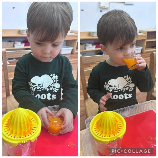 Collage of two photos - a student enjoys a glass of orange juice after he finished juicing it by hand.