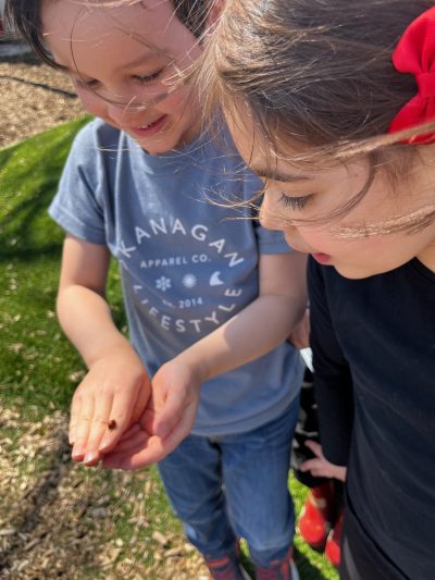 Two students outside in the sunshine inspecting a ladybug that is sitting on one of the students' hand.