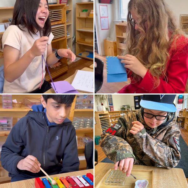 Collage of four photos - Grade 8 students sit at tables doing Casa work as they reflect on their time at the school for their graduation speeches.